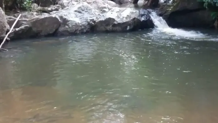 Lindo sitio 65 mil metros Pedro de Toledo SP