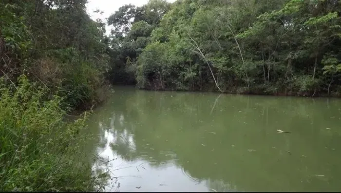 Lindíssima Fazendinha 230.000m2, em Condomínio Rural Quintas da Fazendinha, Matozinhos