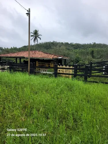 Vendo excelente Fazenda em catu Bahia 