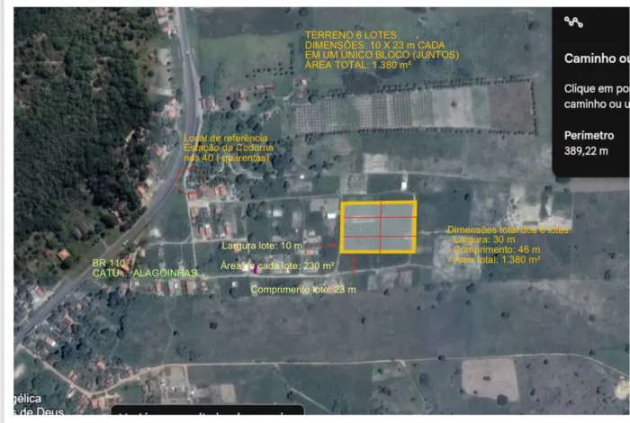 Terreno nos 40( Quarentas ), próximo à Estação da Codorna BR 110 ( Catu ?Alagoinhas)