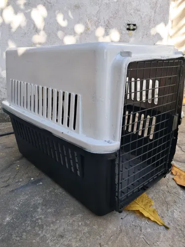 Caixa TRANSPORTE CÃES E GATOS