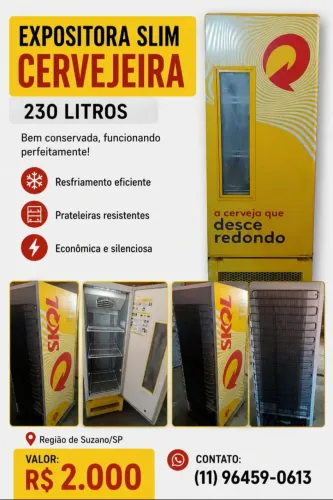 Espositora slim ( cervejeira) 230 litros, bem conservada motor novo,.