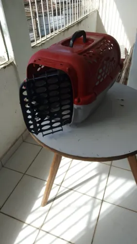 Transportador (caixa) de animais Panther Pet número 3 (usada apenas uma vez)