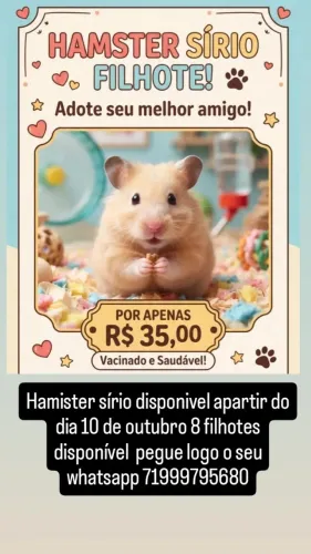 Hamister 35.00