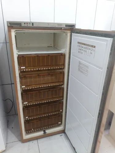 Freezer vertical 110v