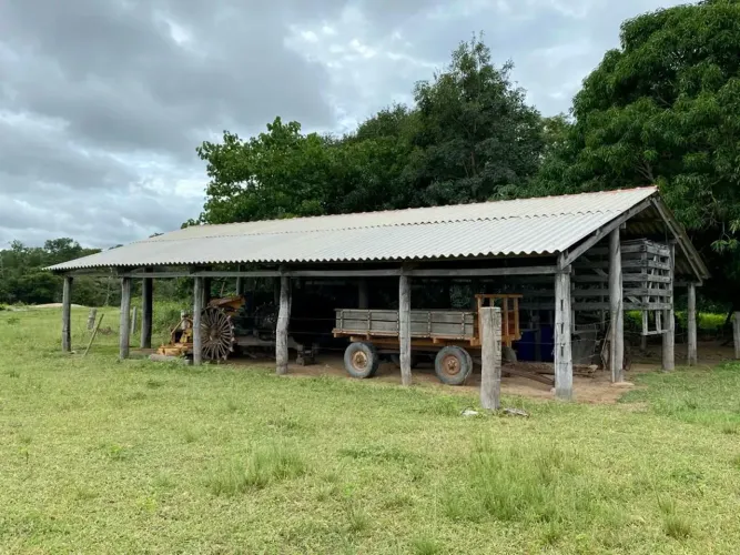 Fazenda de pecuária para venda com 175 hectares com casa, curral e pastos em Castanhal - P
