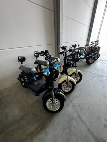 Scooter elétrica