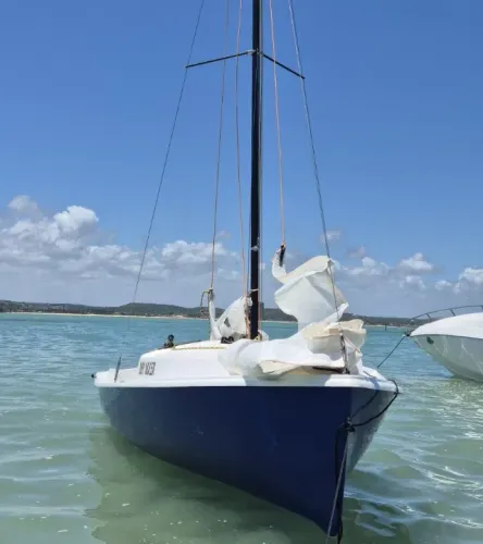 Tom & Cat Day Sailer