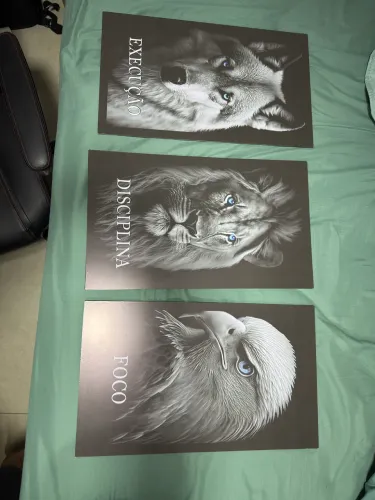 Quadros decorativos 