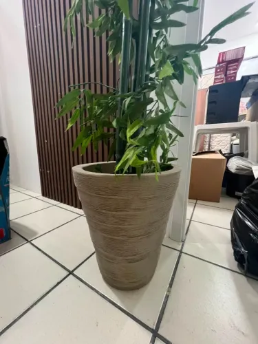 Vaso Decorativo Planta Bambu