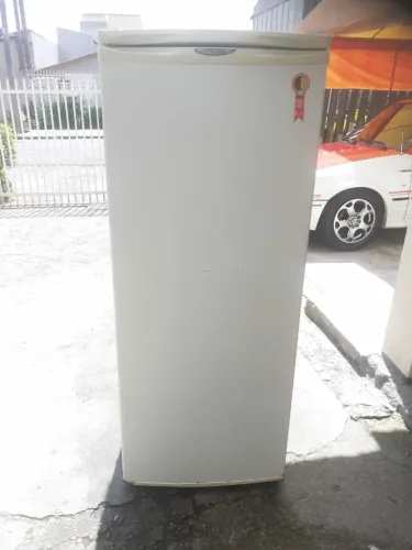 Geladeira Electrolux R 310 300 L