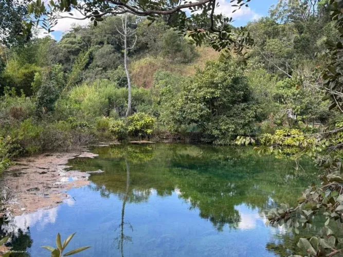 Chácara para Venda em RA II Gama, Ponte Alta Norte (Gama), 2 dormitórios, 1 banheiro, 10 v
