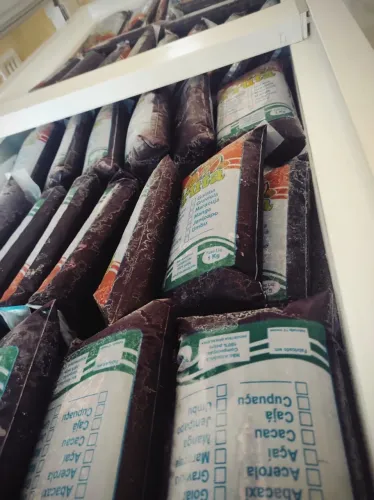 Vendo polpas de açaí e cupuaçu direto do Pará São domingos do Araguaia