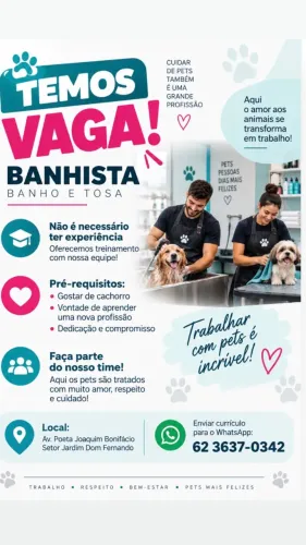 Banhista Pet Sem Experiência