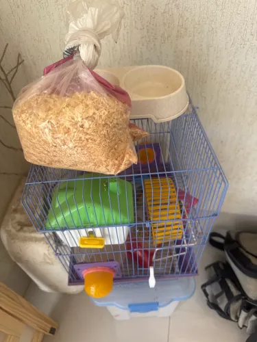 Gaiola para hamster