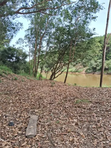 Chacara em Uvaia com rio Tibagi nos fundos - Locação e Venda