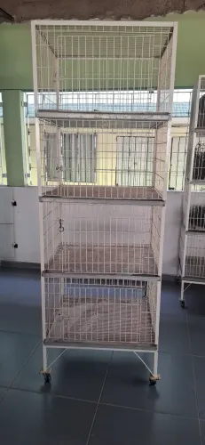 Gaiola para tosa 4 baias