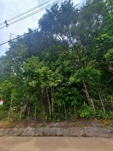 Lote/Terreno para venda tem 2382 metros quadrados em Trancoso - Porto Seguro - Bahia