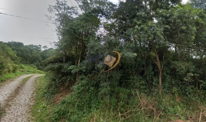 Área para parque Logístico - Rodoanel Mauá/SP