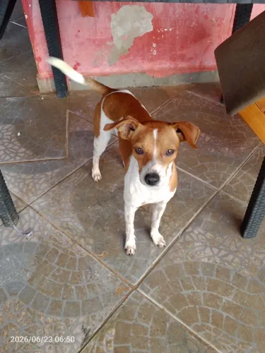Quero ser seu amigo 