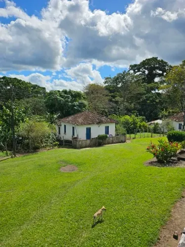 Vendo Fazenda Produtiva de cacau e açaí