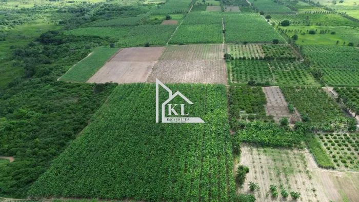 Fazenda em Produção - 14 Hectares - Agua - Localizção - Ceara Mirim