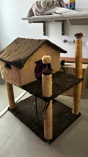 Casa de gato 