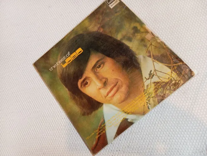 Disco Vinil Lobo