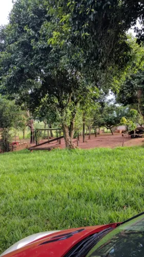 Venda Fazenda 11,5 alqueirão