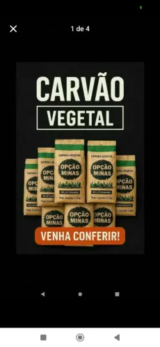 Carvão vegetal 