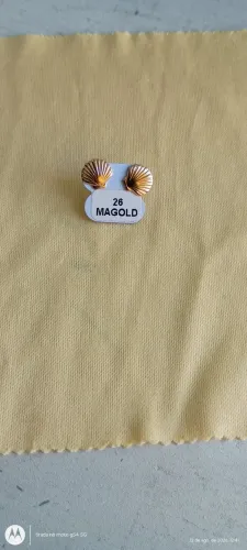 Vendo brinco magold semi novo, não faço entrega . Retirada no endereço.