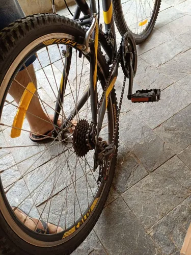Bicicleta