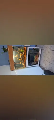 AQUÁRIO Completo 300L