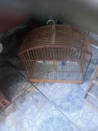 Gaiolas