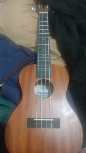 Ukulele concert Giannini