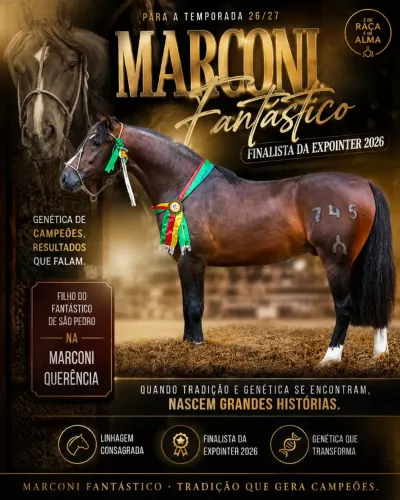 Cobertura Marconi Fantástico