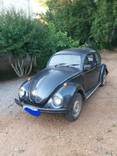 Volkswagen Fusca Fusca (gasolina) 1996