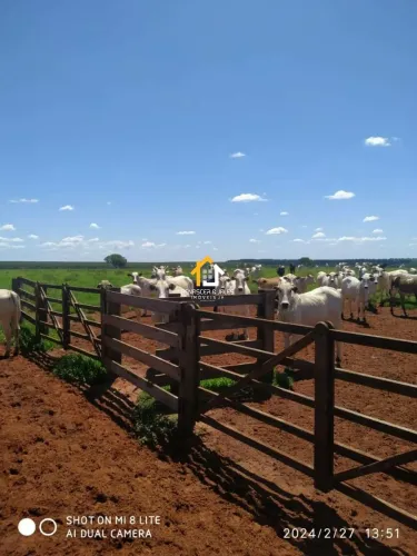 FAZENDA À VENDA  PARANAÍBA/MS