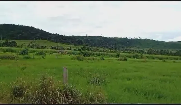 Vendo!!! fazenda 3.858 hectares de alto padrão Novo Mundo MT