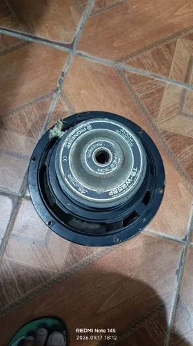 Auto Falante