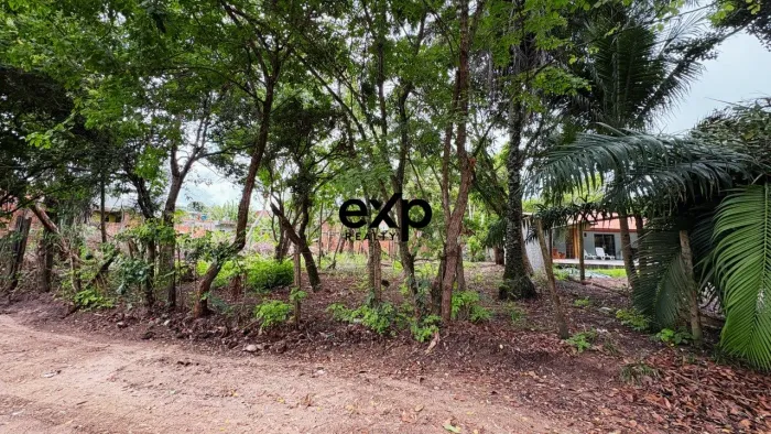 Exclusivo lote a 150m da praia em Barra Grande - Península de Maraú - Bahia!