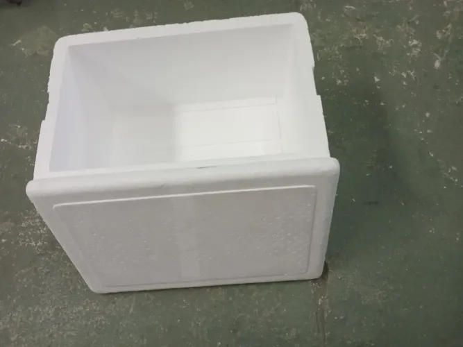 Caixa de inopor 50 litros