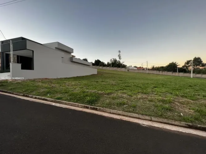 Terreno para Venda em Álvares Machado, Centro