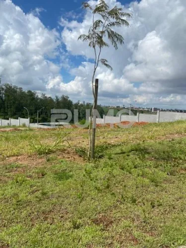 terreno - Jardim Madalena - Campinas