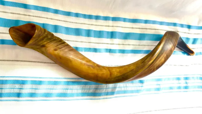 Shofar de Antílope Importado de Israel 