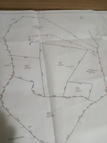 Vendo área de 192 mil metros com casa, água corrente de nascente, luz e ótimo acesso.