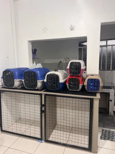Caixa de transporte Pet, raios tamanhos