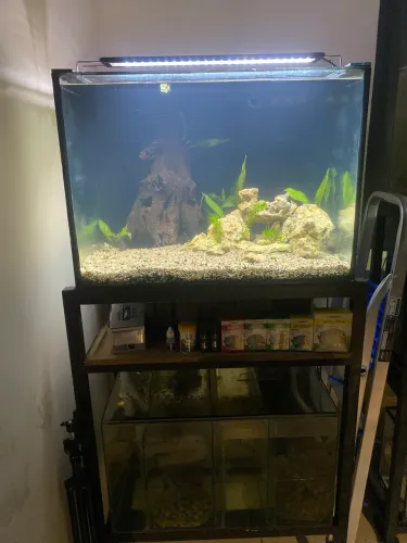 Aquário completo com sump