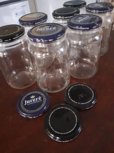 13 Vidro de palmito