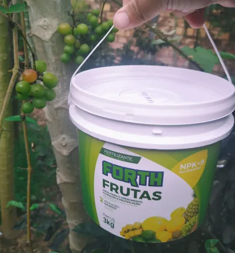 Adubo forth frutas 3 kg. NPK + 9 nutrientes. Último disponível